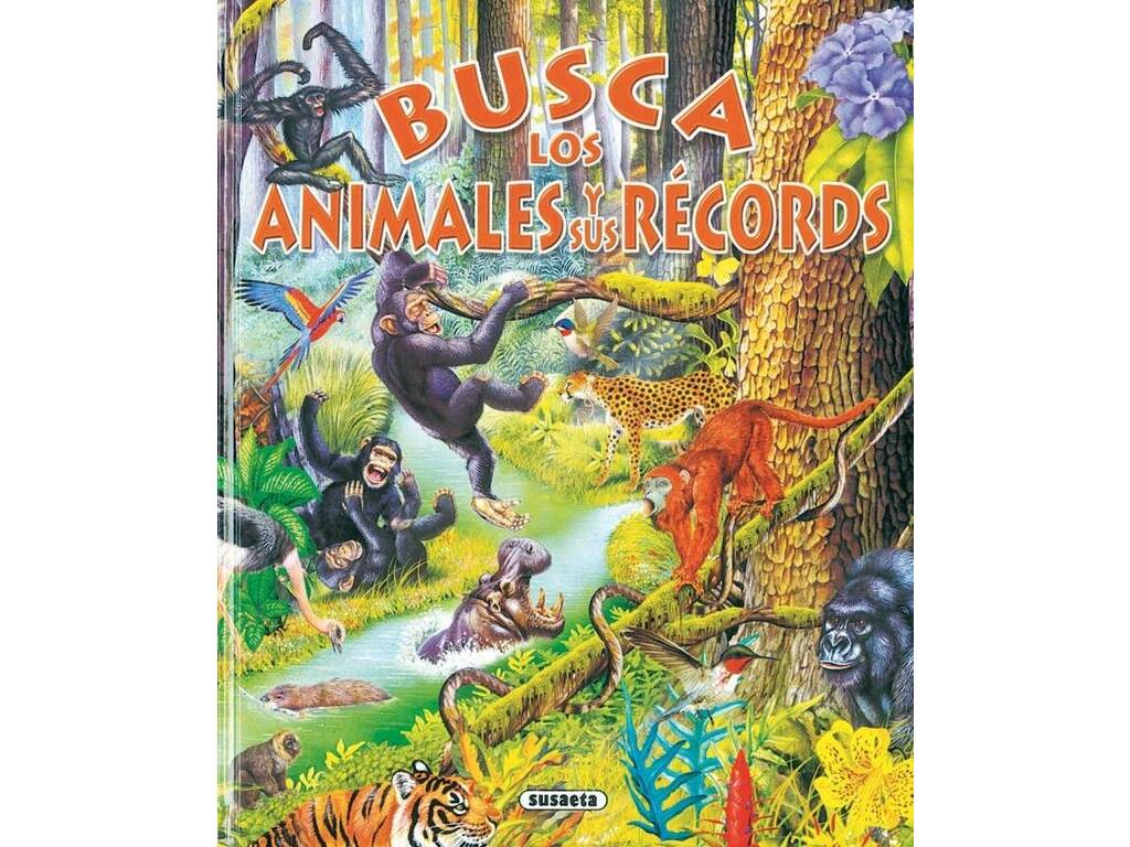 Kinderbuch Busca... Suesaeta S0070