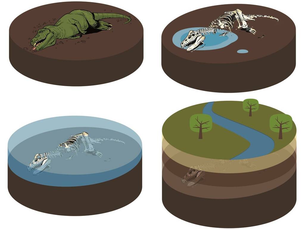 Jurassic World Rebirth Ensemble d’excavation de dinosaures colossaux